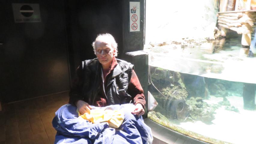 Herr H. im Rollstuhl vor einem Aquarium